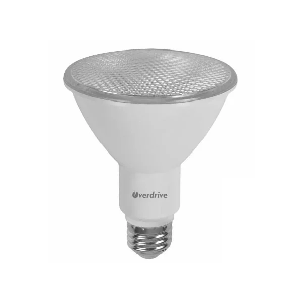 11 W LED Long Neck PAR30 Dimmable