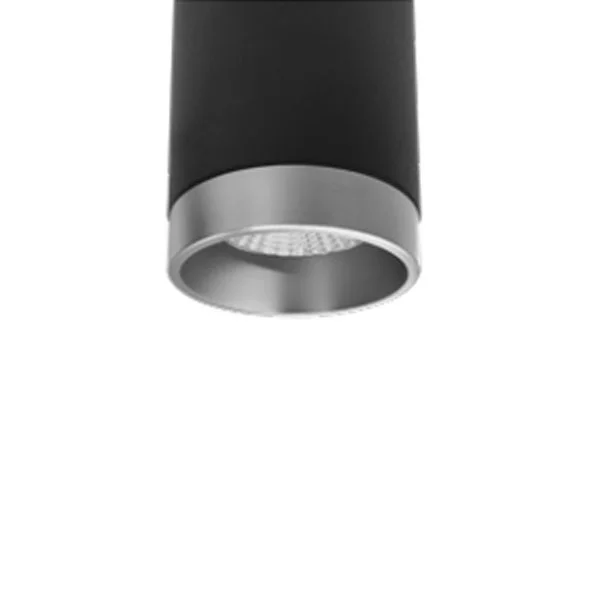 2-Inch CMC2 Ceiling Mount Cylinder Trim