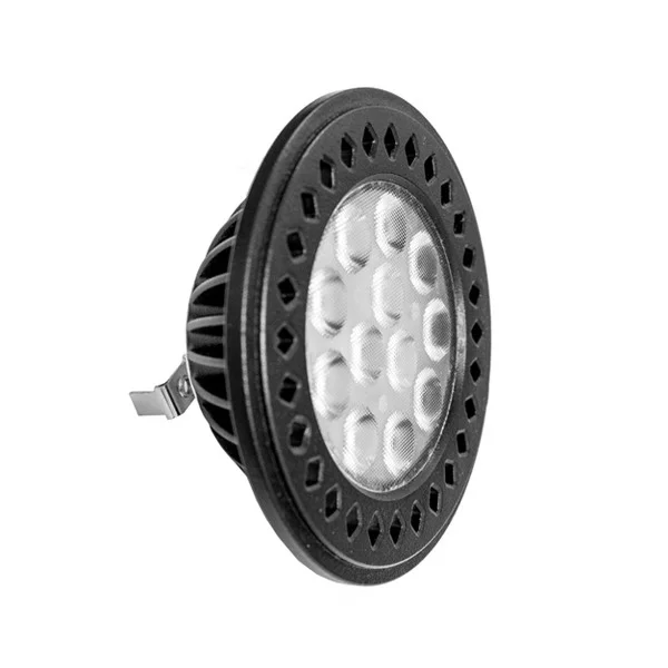 Westgate Manufacturing 20 W PAR36 LED Lamp