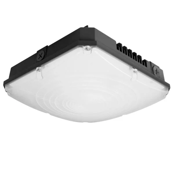 28W - view 2