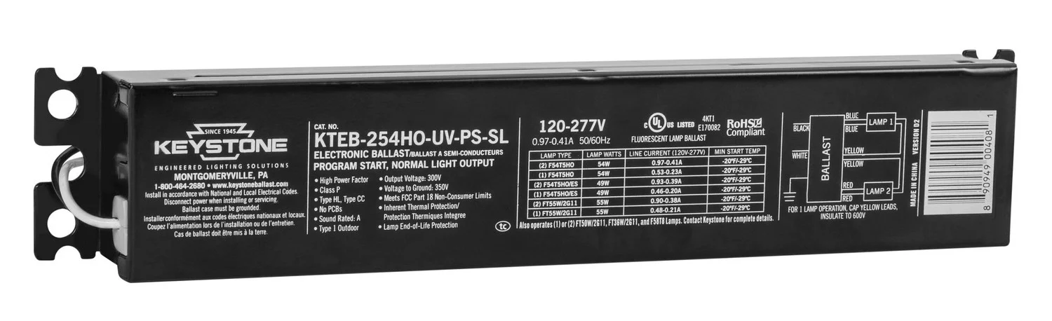 2xF54T5HO, 120-277V, Program Start, 9" Case, with integral leads