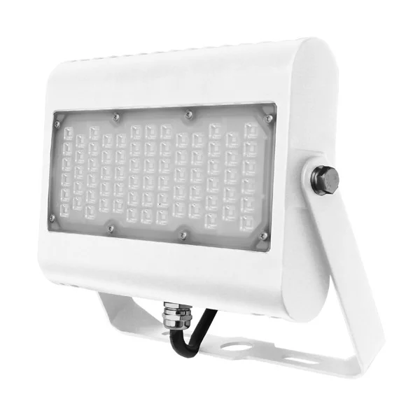 30 W LED Flood Light with Trunnion