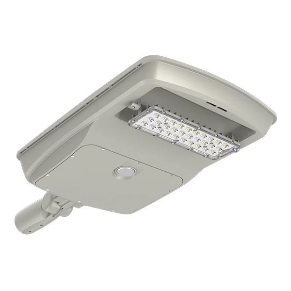 36 W LED Solar Roadway/Flood Light