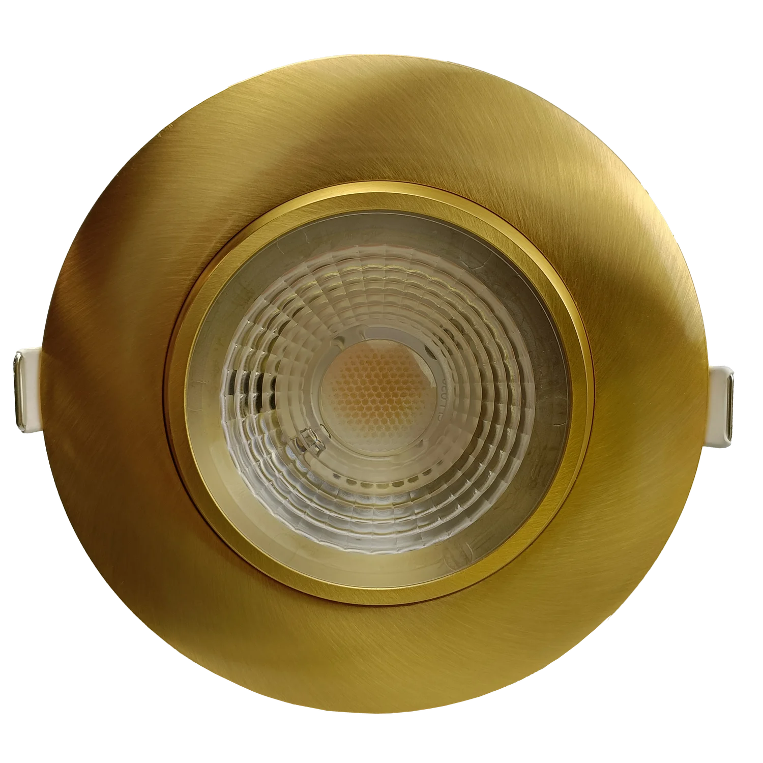 4" Round Flushed Gimbal (Brushed Brass)