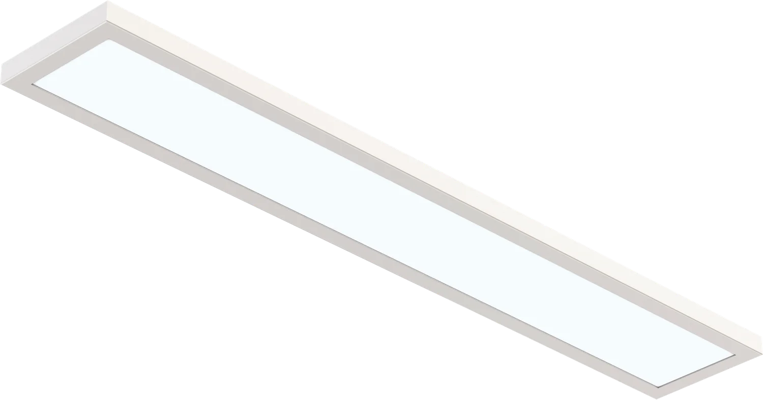 Goodlite 4″X2′ Surface Mount Panel