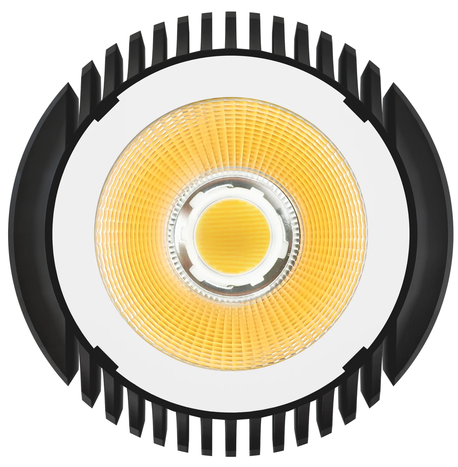 Goodlite 6 Inch Interchangeable Module - view 2