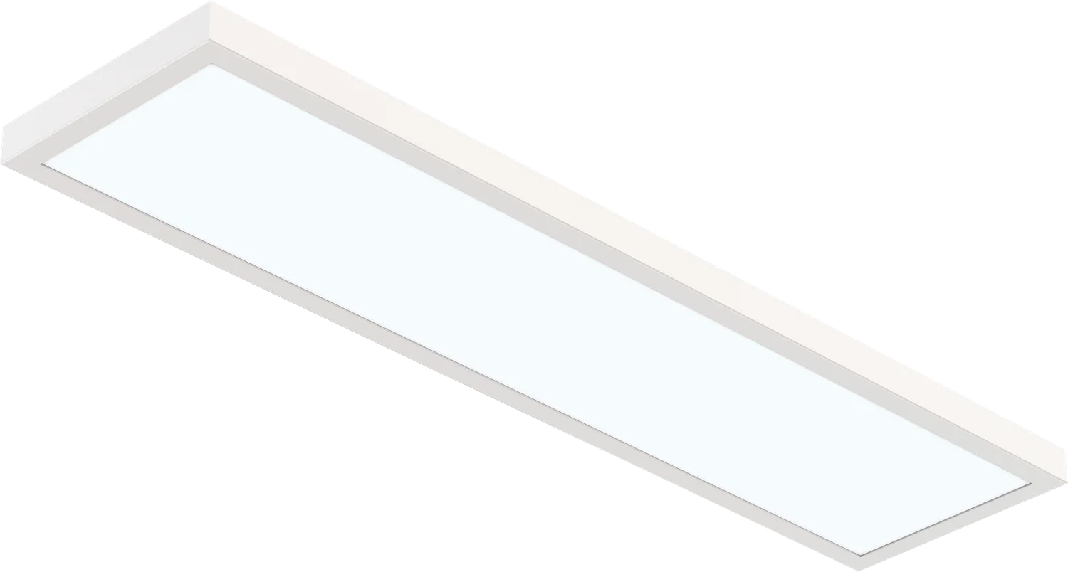 Goodlite 6″X2′ Surface Mount Panel