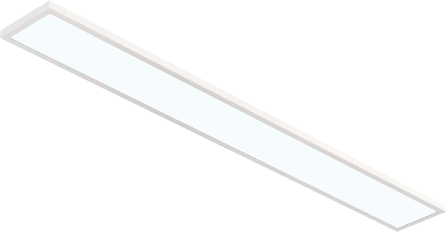 Goodlite 6″X4′ Surface Mount Panel