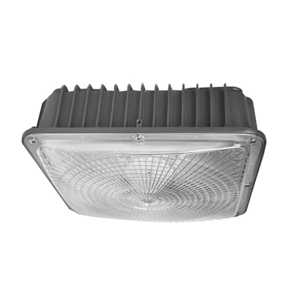 75 W DUO Sector Canopy Light - CCT Adjustable