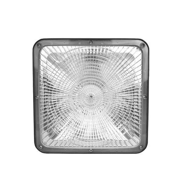 75 W DUO Sector Canopy Light - CCT Adjustable - view 2