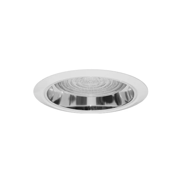 6" Reflector with Regressed Lens Trim, Clear Reflector, Frosted Lens