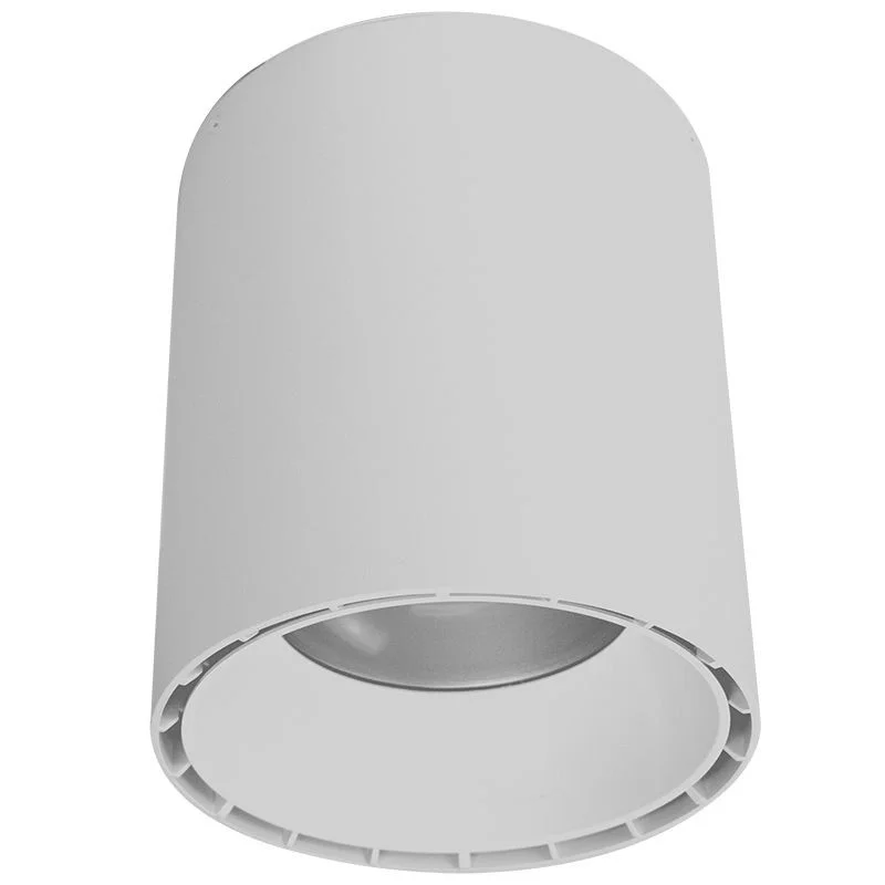 9-Inch Pendant or Ceiling Mount Cylinder, Multi Power and CCT - view 2