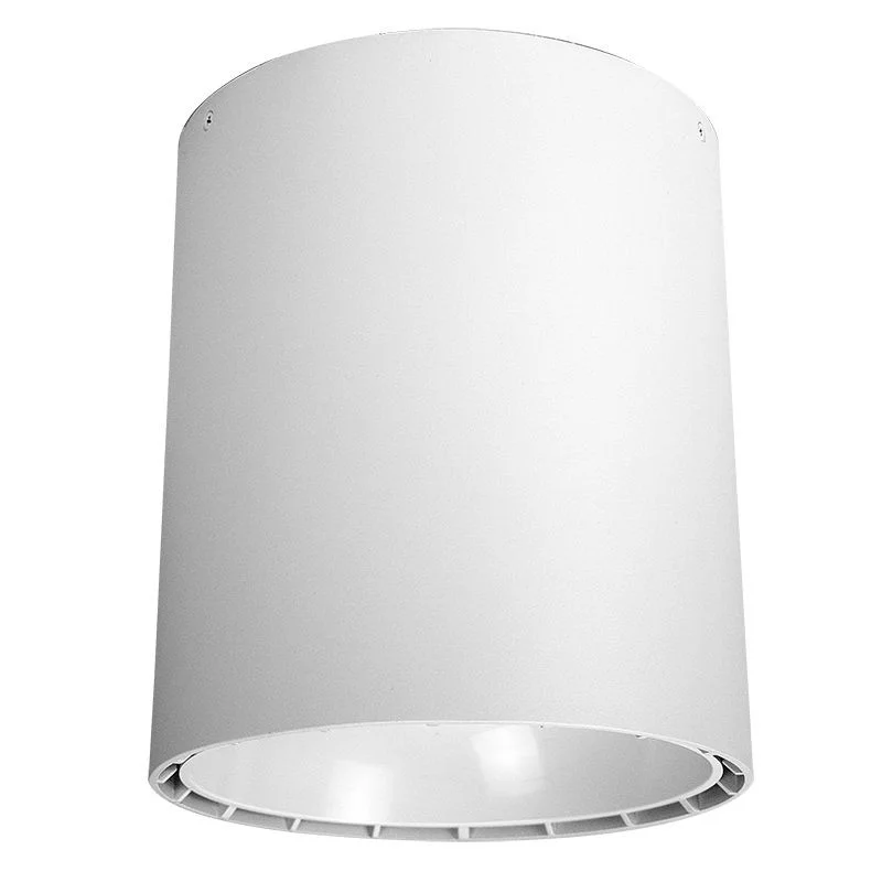 9-Inch Pendant or Ceiling Mount Cylinder, Multi Power and CCT - view 5