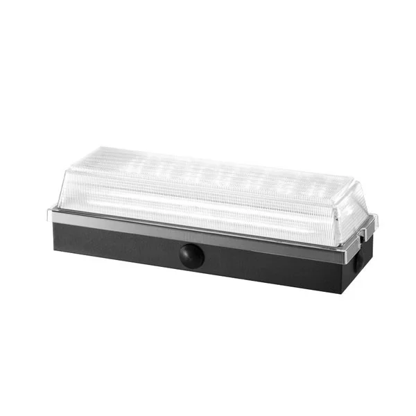 Sunpark Electronics 9 W LED Outdoor Light