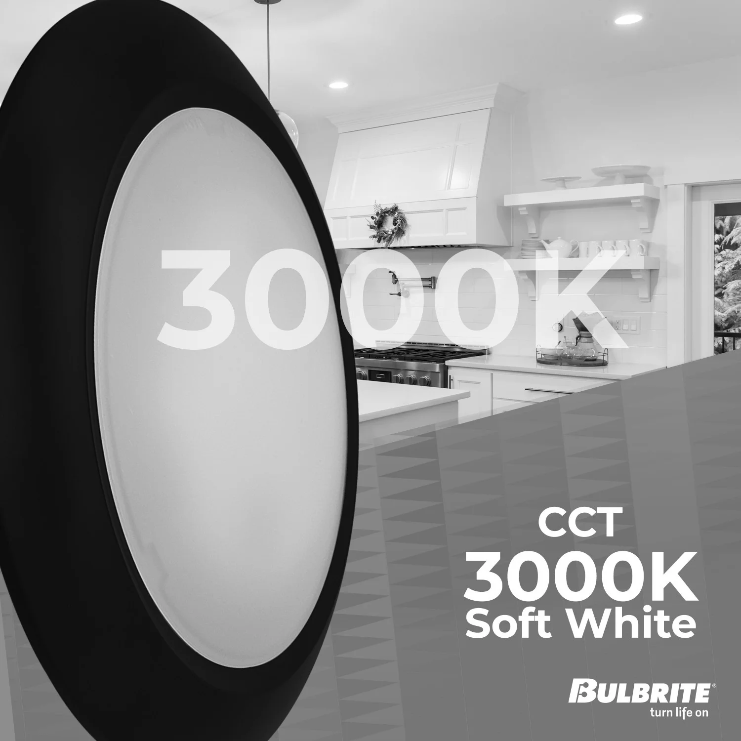 Bulbrite LED 25 W Downlight Fixture, 3000K (Soft White Light) - view 3