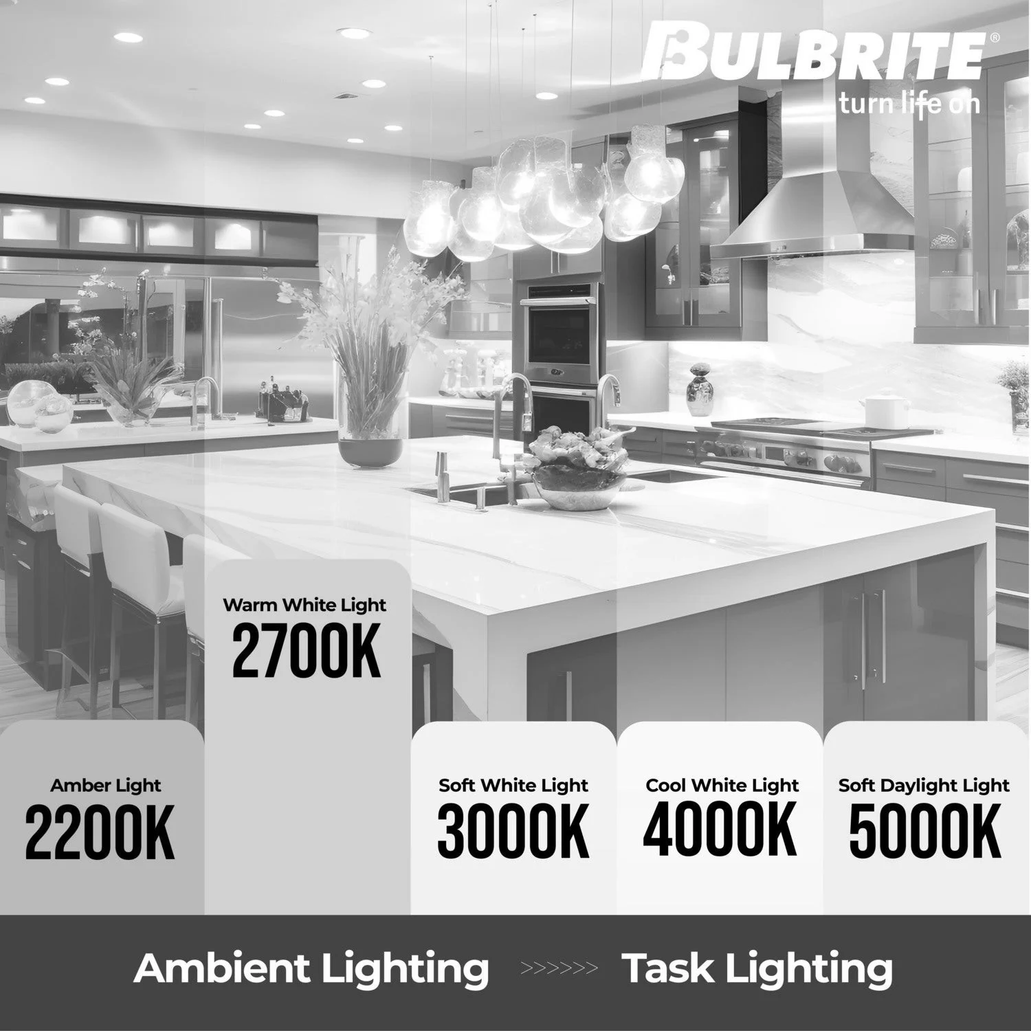 Bulbrite LED 3 W T9 5‘’ Light Bulb With A Clear Finish And Medium Screw (E26) Base, 2700K (Warm White Light) - view 2
