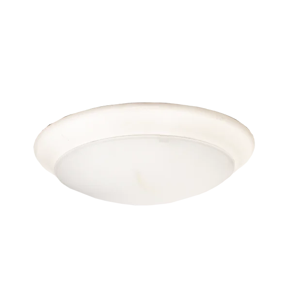 DLS Series 12-Inch Round Disc Light - CCT Adjustable