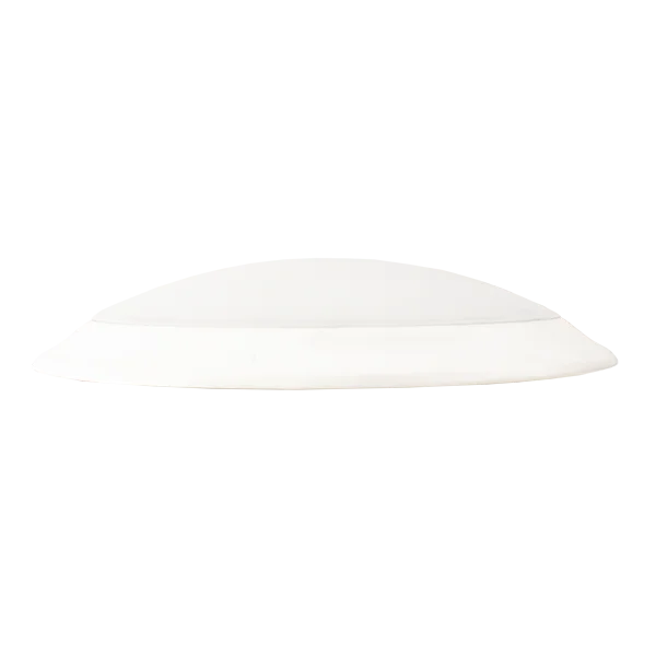 DLS Series 12-Inch Round Disc Light - CCT Adjustable - view 2