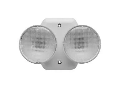 Emergency Remote Head, Indoor, Double