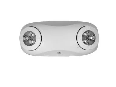 Emergency Thin H/O LED Light, 2 Heads, White, Battery Backup, 100-300V