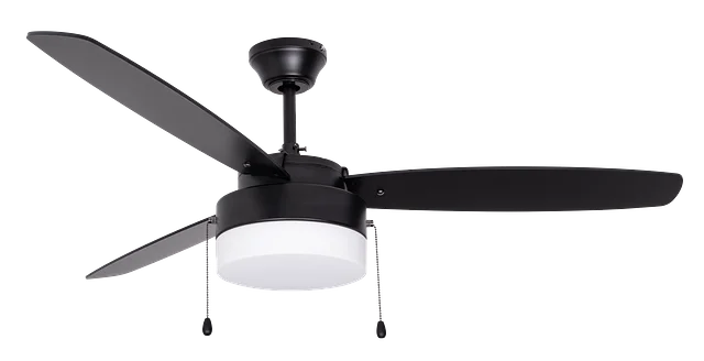 GlobaLux ECF Series 52" Dual Mount Ceiling Fan, 3 Blades, 2 Medium Base Sockets, 120V, 3000K, 80 CRI, Black Finish, B...