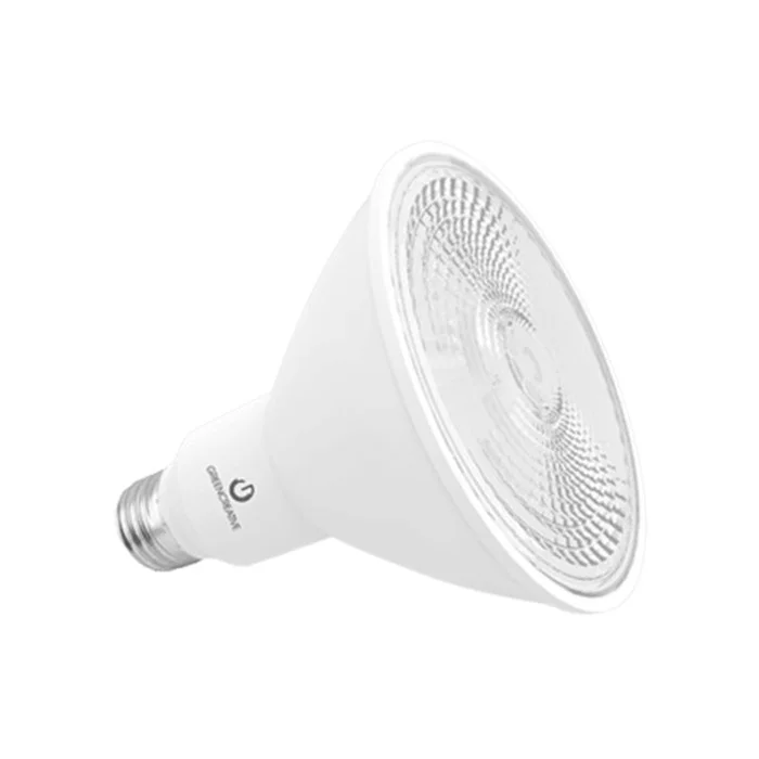 Green Creative PAR38 High Output LED Lamp, 19.5W, 2000lm, 3500K, 40°, 120-277V - view 2