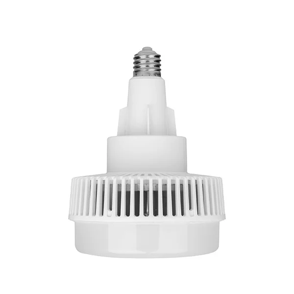 100 W LED High Power Lamp, E39 Mogul Base
