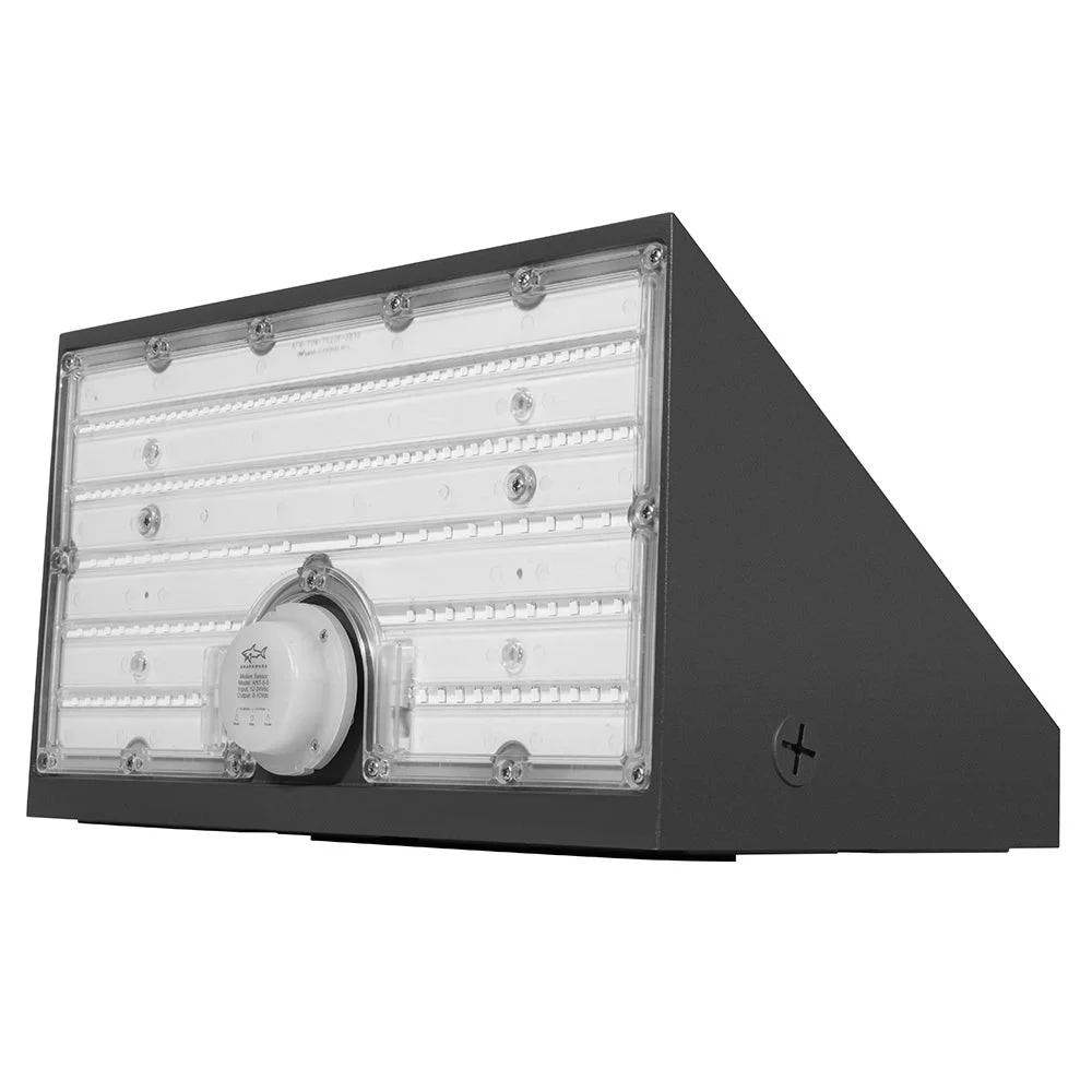 LED Architectural Wall Pack Series, 48W-120W, Type IV Distribution, 4500K - view 3