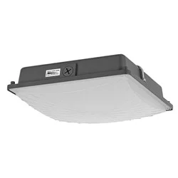 LED Slim Canopy Light, 26x39, 26W-65W, 120-277V, 4000K-5000K, Dimmable