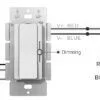 Lotus LED Lights 2-in-1 Driver + Dimmer, 24VDC, 60W, 120VAC, Single CCT/DTW, Single Pole or 3-Way, S...
