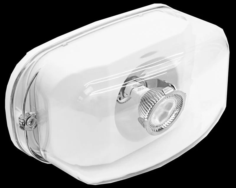 NEMA 4X Rated Outdoor LED Single Remote Head - view 3