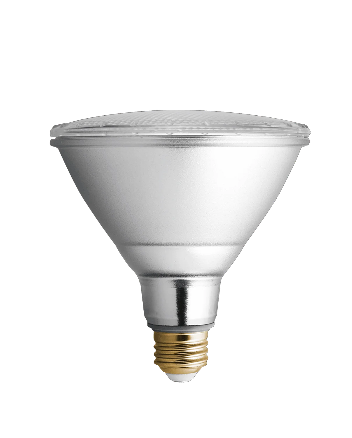 Goodlite PAR 38 LED Bulb