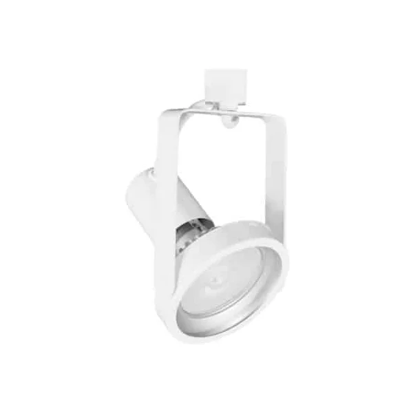PAR38 Gimbal Track Luminaire, Black or White Finish