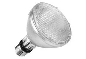 ProLume Ceramic Discharge Metal Halide PAR30L Lamp, 70W, 3000K, Flood, 30°, Medium Base