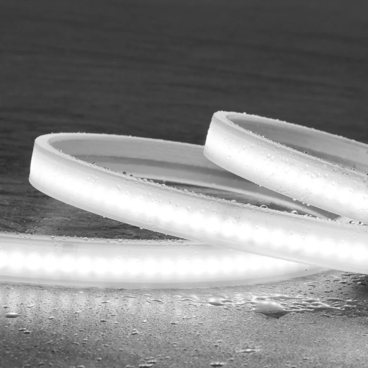 Proluxe Sauna COB RGBW LED Strip Light, 14mm, IP67, Custom Cut, 24V DC, RGBW (3000K)