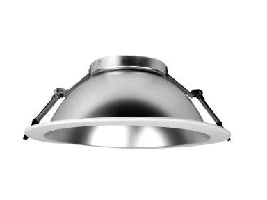 Recessed Architectural Downlight Reflector, 10", Round, Matte Silver Reflector, White Trim, TAA