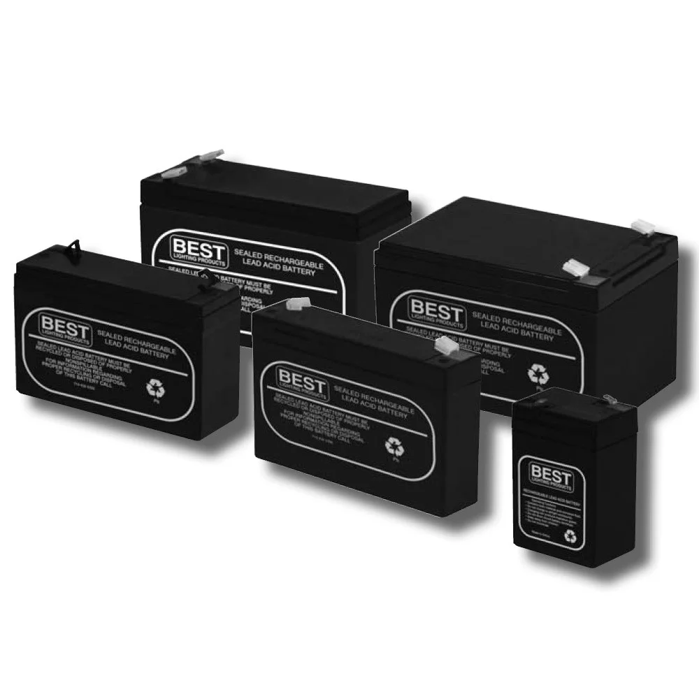Rechargeable Sealed Lead Acid Battery, 12 volts, 12.0 Amp-Hr