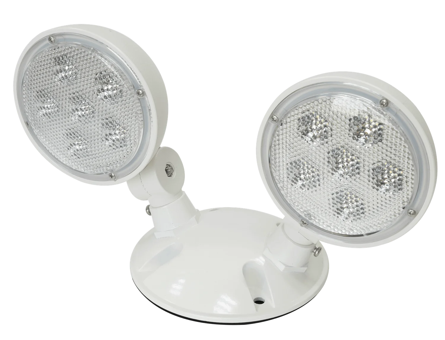 RH20 Wet LED Double Remote Heads, 120V