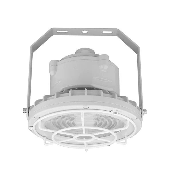Round Hazardous Location Flood/Highbay Light Flat Wire Guard - view 2