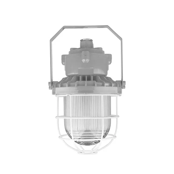 Round Hazardous Location Flood/Highbay Light Jelly-Jar Wire Guard