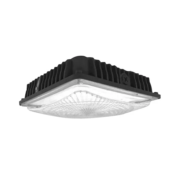 Sector LED Canopy Lighting, 28W-60W