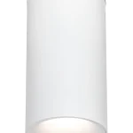 Selectable LED Cylinder, Power & CCT Selectable, w/o BLU module, Black - view 3