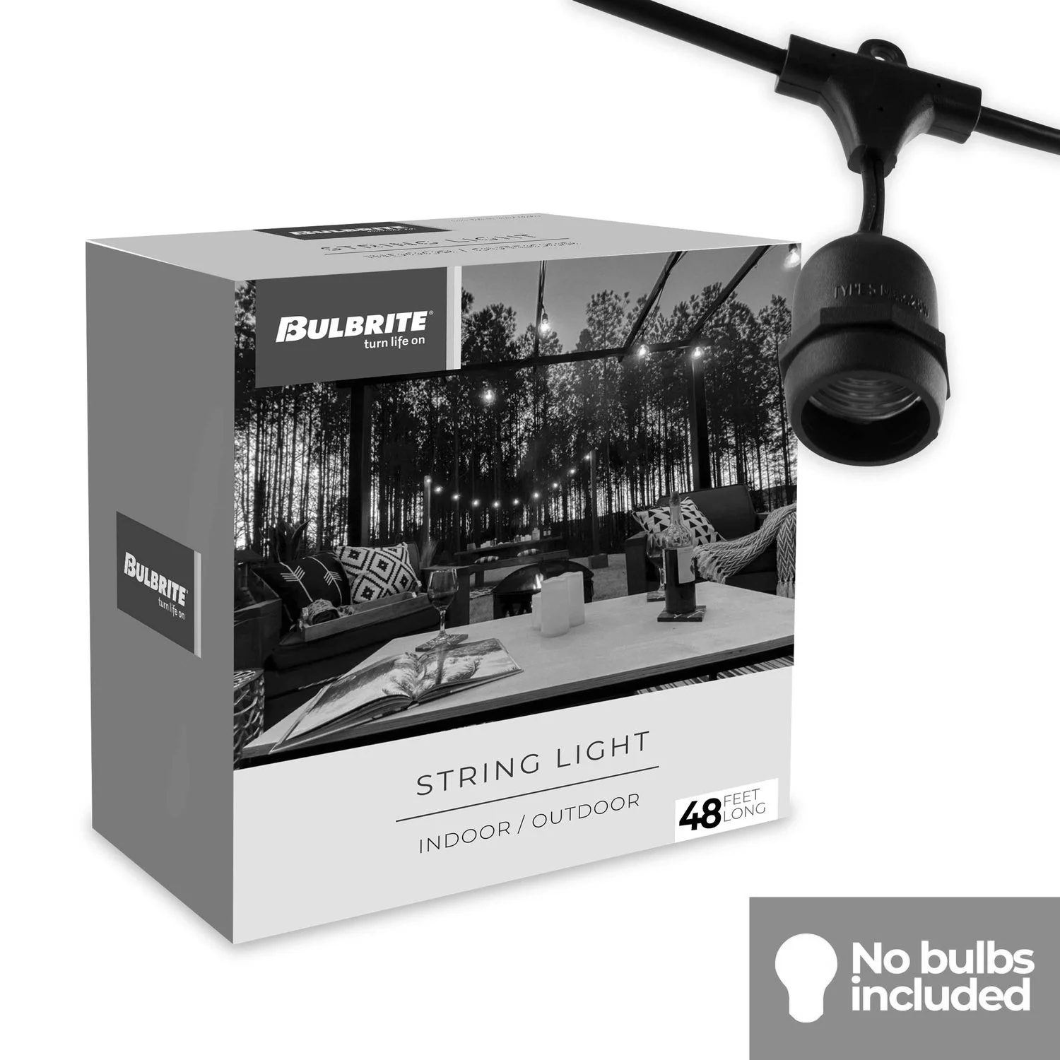 String Lights, 48', 15 Sockets, 36" Spacing, E26, Black, 120V, Wet Rated, Non-Dimming - view 3