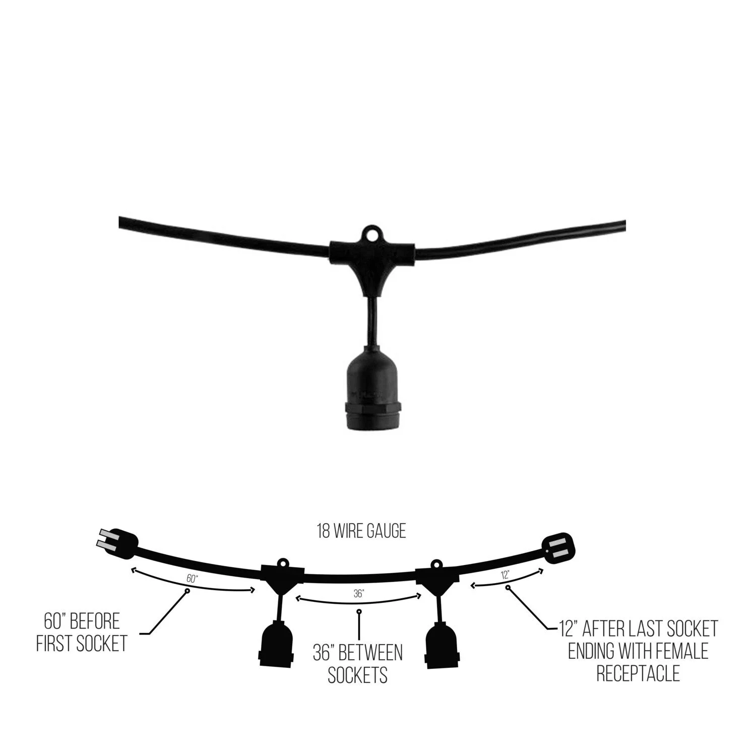 String Lights, 48', 15 Sockets, 36" Spacing, E26, Black, 120V, Wet Rated, Non-Dimming - view 4