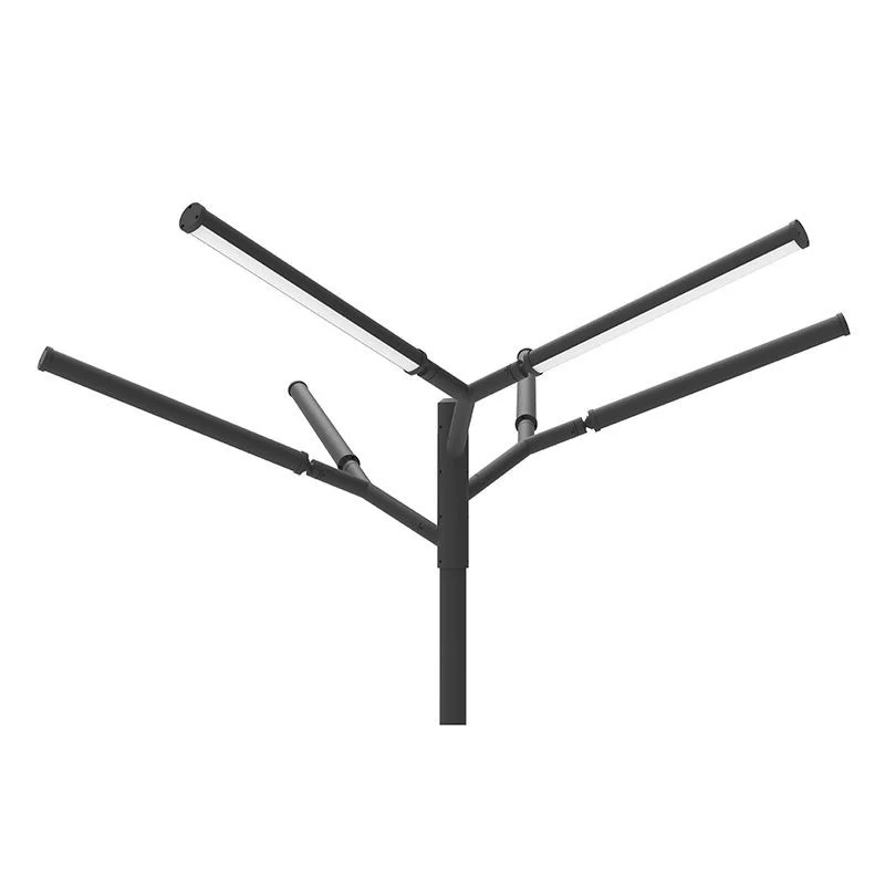 Tree Of Light, A Natural Designer Light Structure For Open Areas