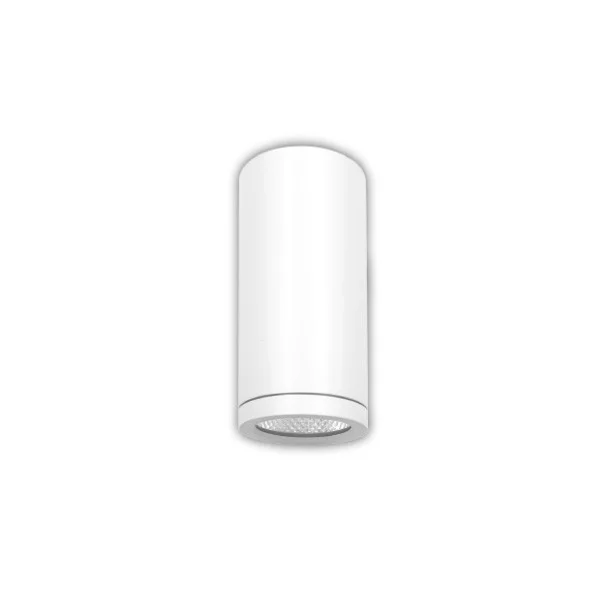 Universal Mount LED 2.5” Cylinder System, 5CCT Selectable, Universal Voltage, Dual Dimming, White Finish